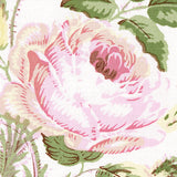 Schumacher Fabric by the yard: Loudon Rose, Blush - Annabel Bleu