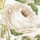 Schumacher Fabric by the yard: Loudon Rose, Ivory - Annabel Bleu